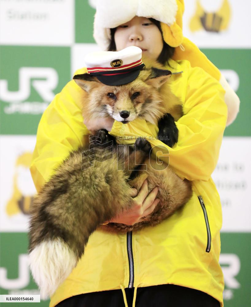 Fox as train station master