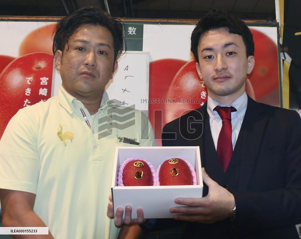 Mangoes from southwestern Japan