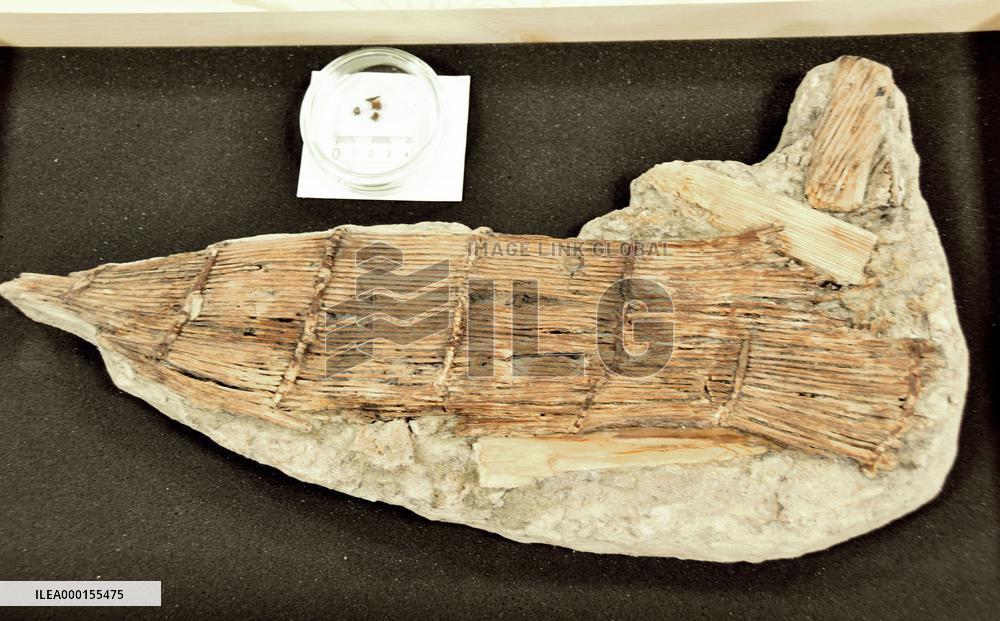 Fishing trap found in archeological site in Japan