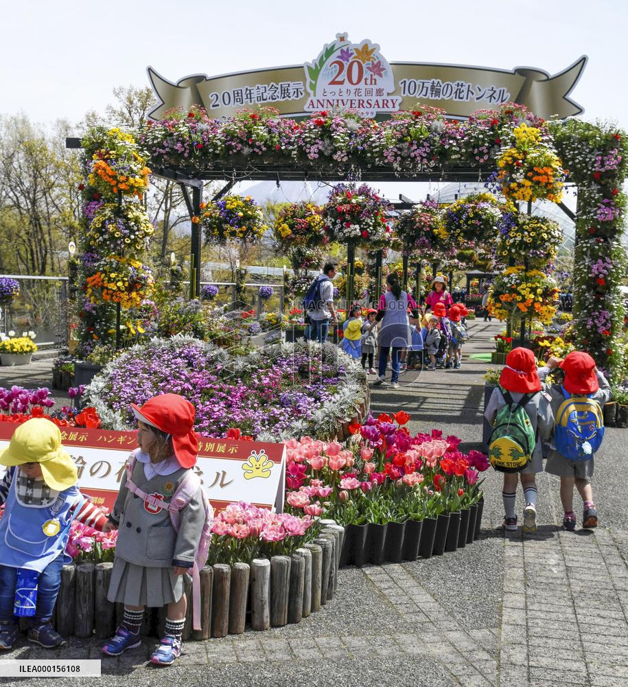 Flower park in western Japan