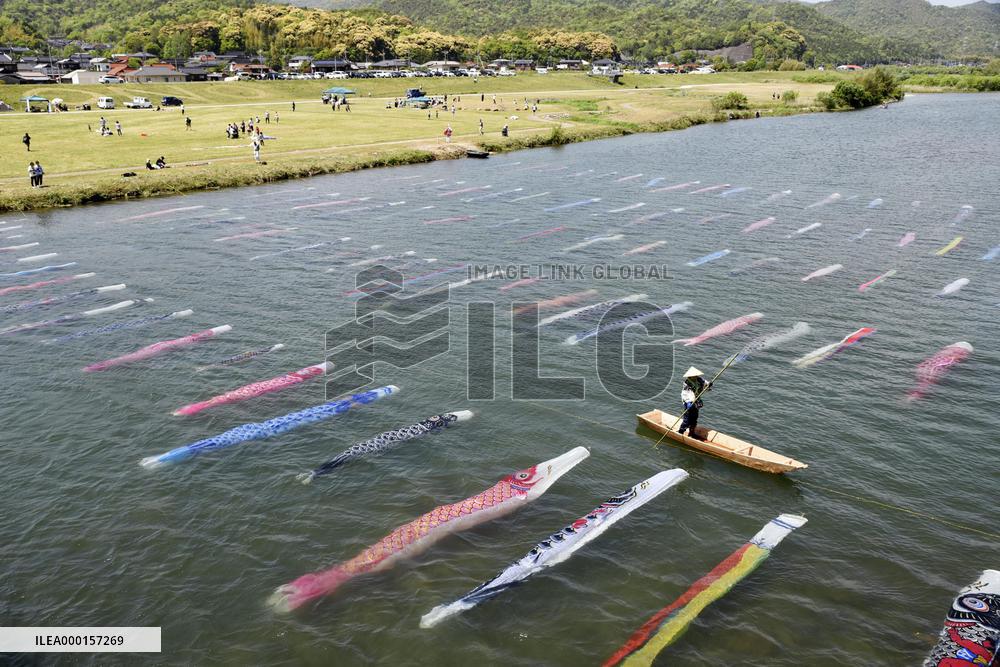 Carp streamers in river