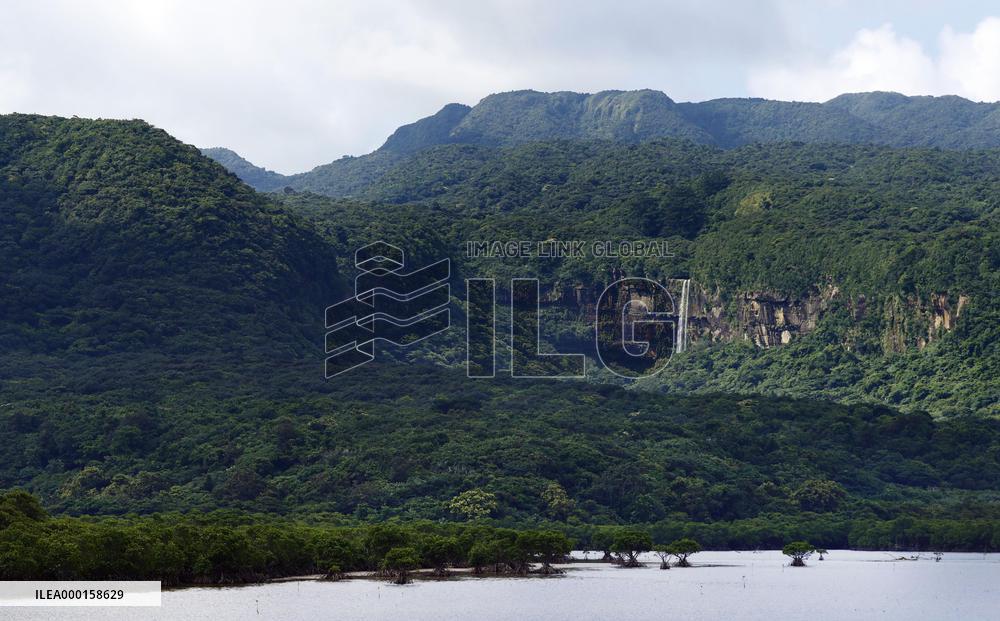 Iriomote Island in southern Japan