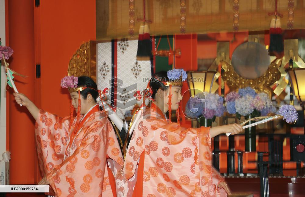 Hydrangeas festival in western Japan