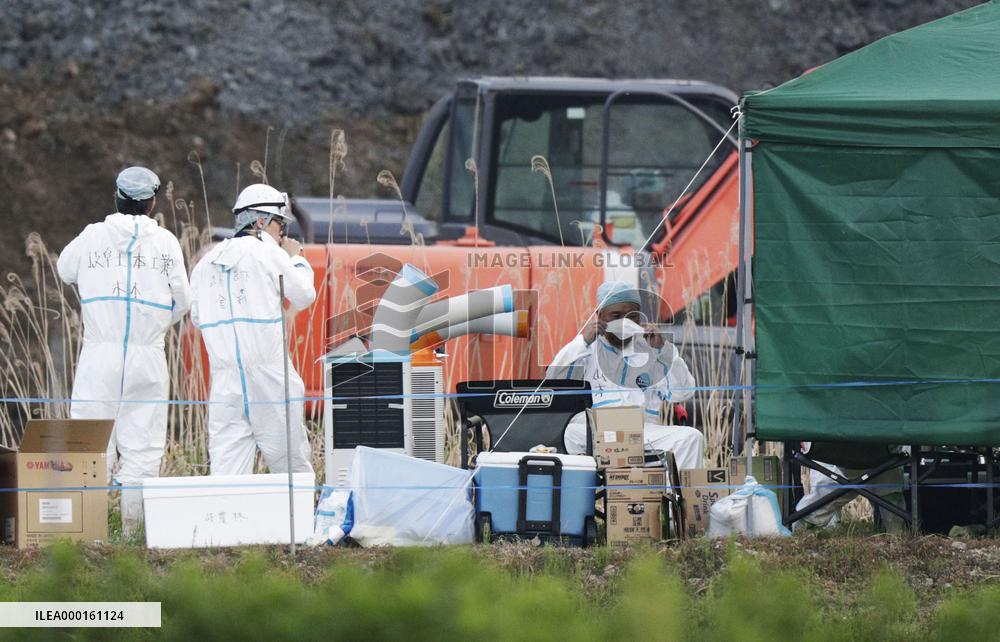 Hog cholera infection in Japan