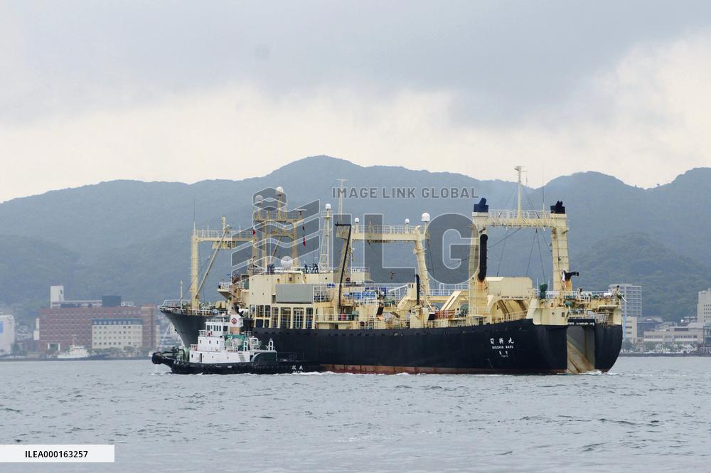 Japan resumes commercial whaling