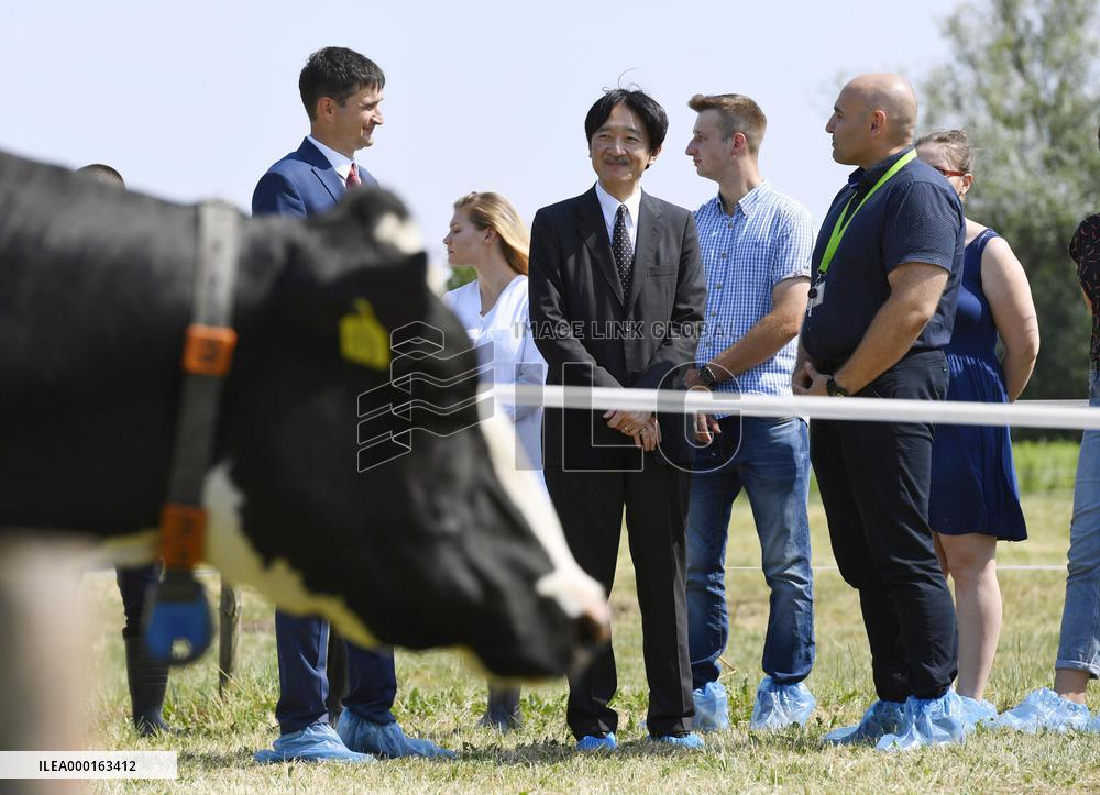 Japan's crown prince in Poland