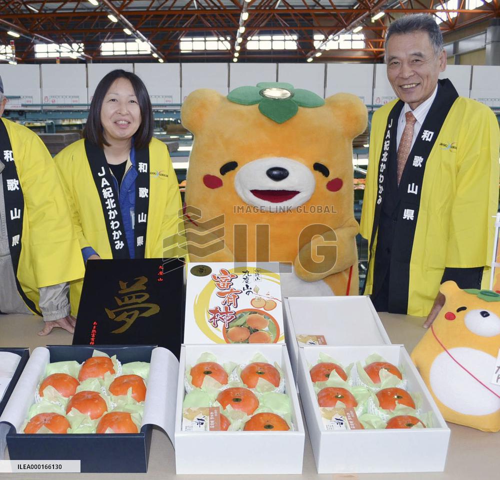 Premium persimmons in western Japan