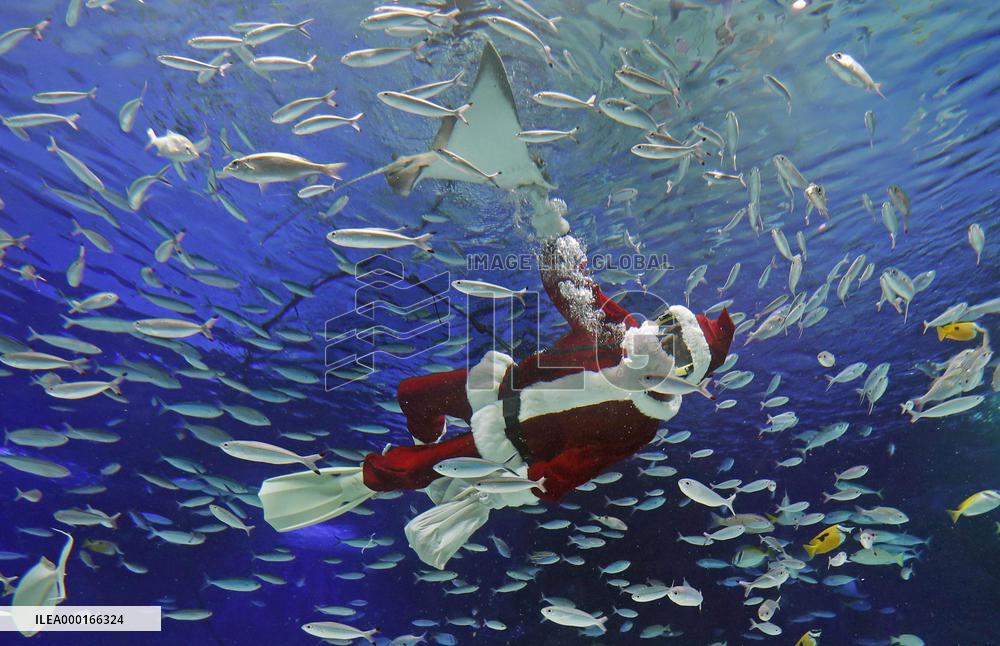 Santa Claus in Tokyo aquarium