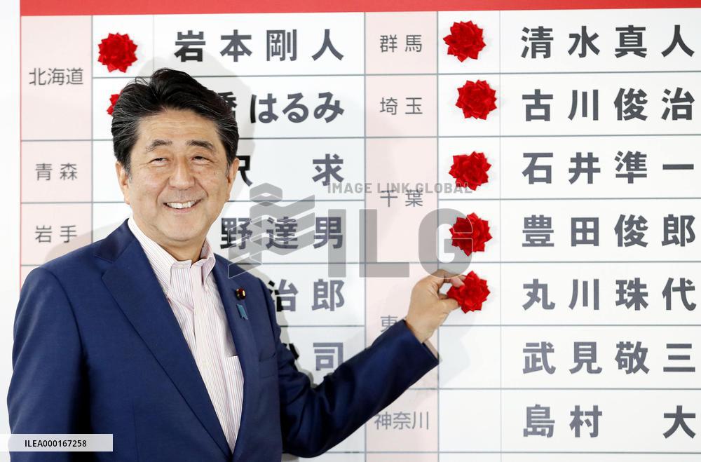 Japan upper house election