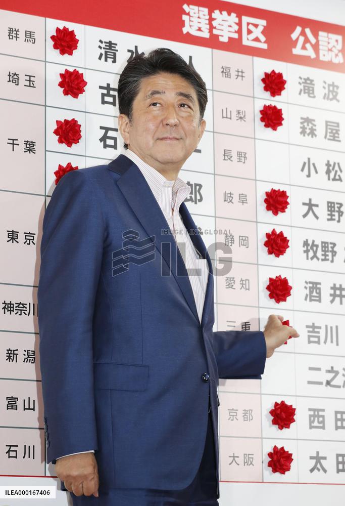 Japan upper house election