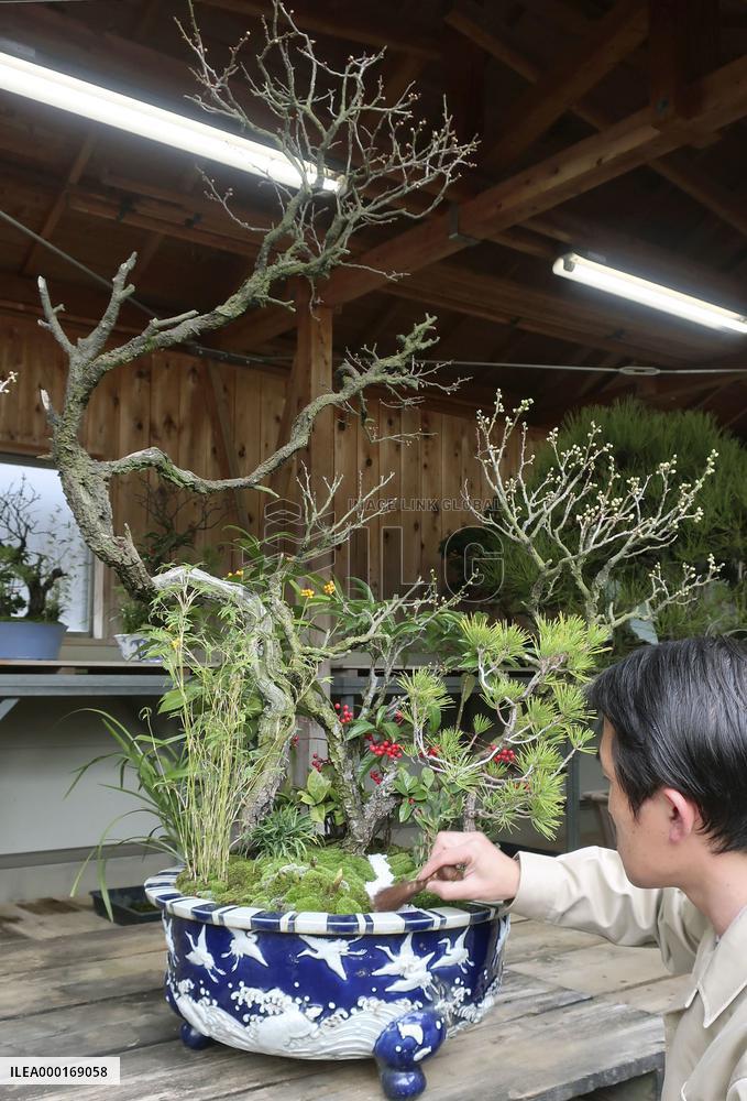 New Year preparations at Imperial Palace