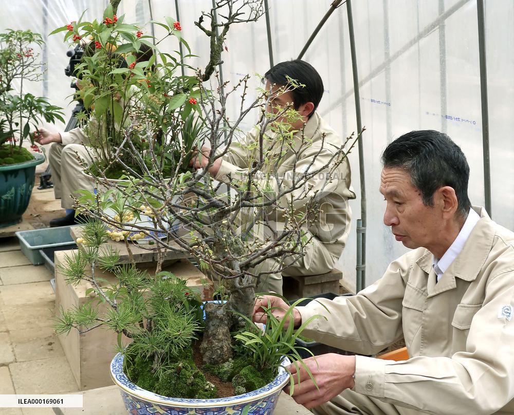New Year preparations at Imperial Palace