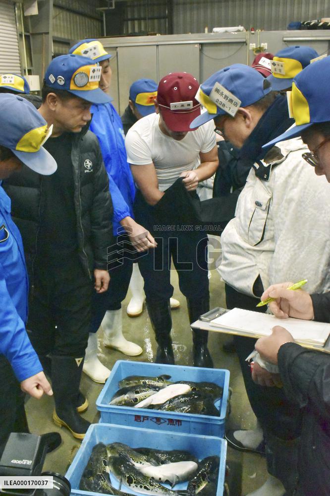 Year's 1st pufferfish auction in western Japan