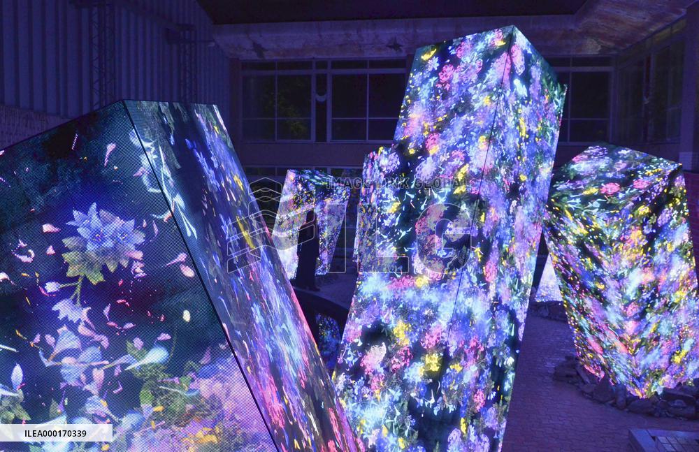 Digital art exhibition in southwestern Japan