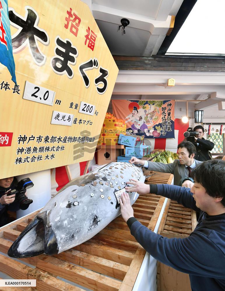 Tuna offered to western Japan shrine