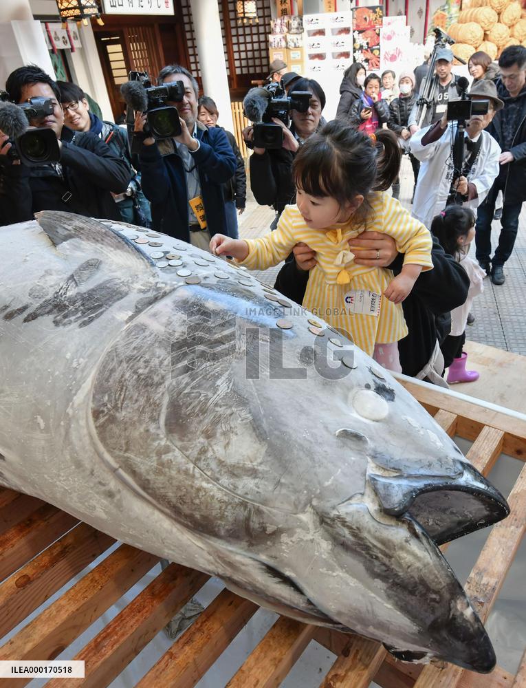 Tuna offered at western Japan shrine