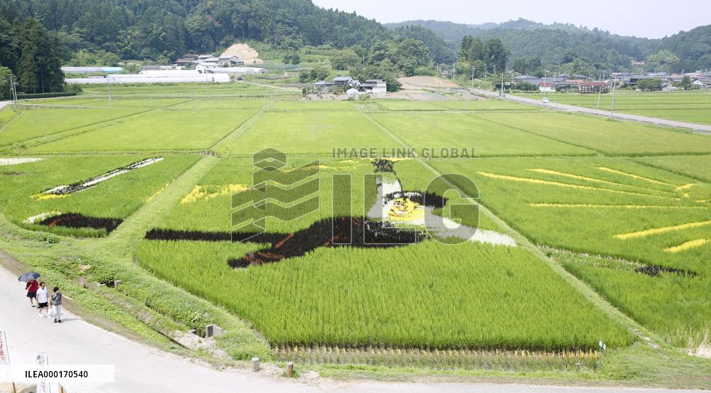 Rice paddy art of figure skating star Hanyu