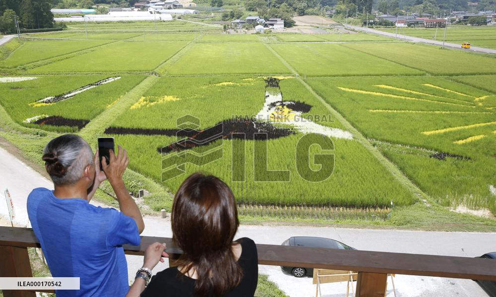 Rice paddy art of figure skating star Hanyu