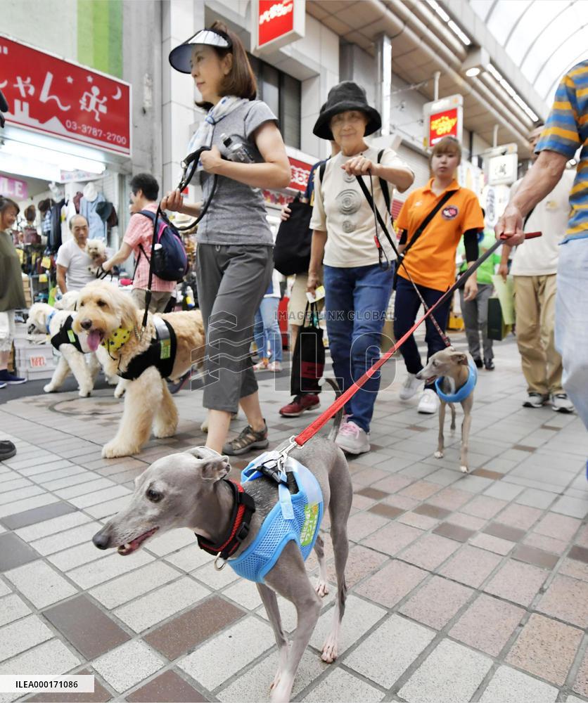 Police warn seniors against scam