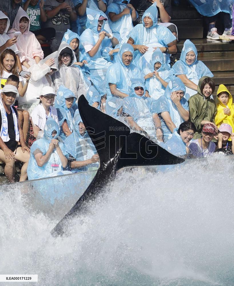 Attraction at Kamogawa Sea World in Japan
