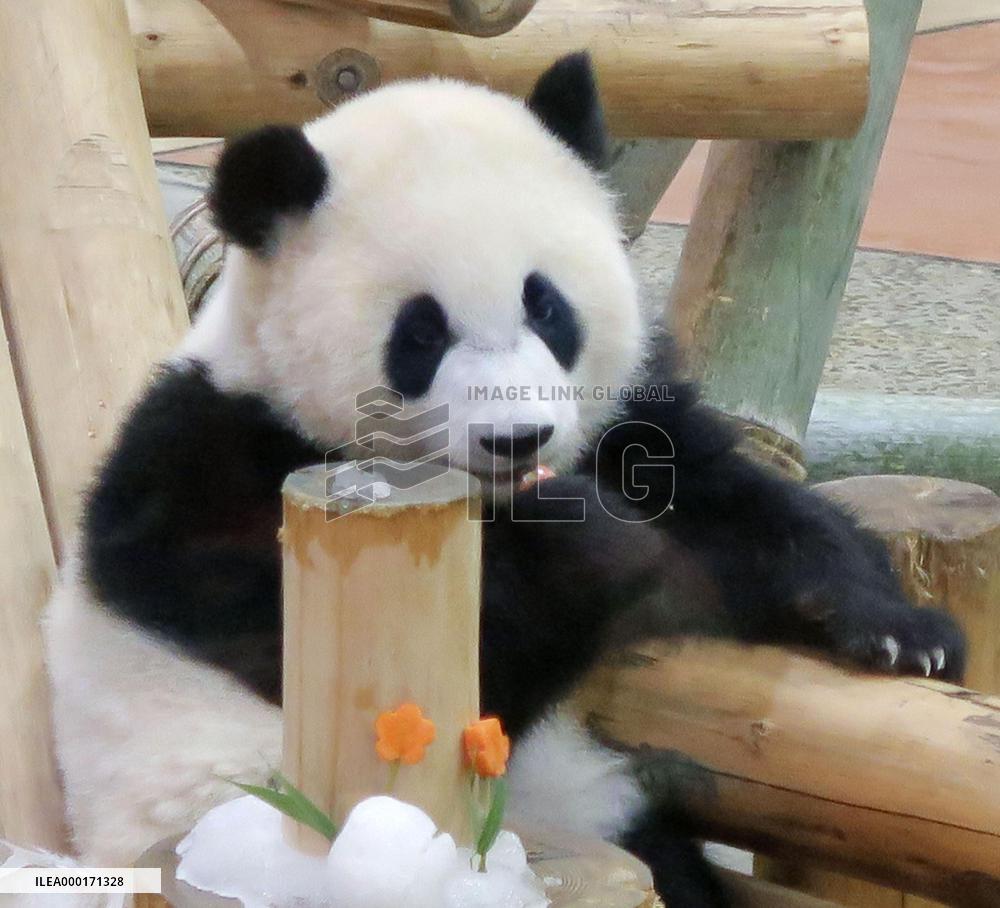 Panda in Japan