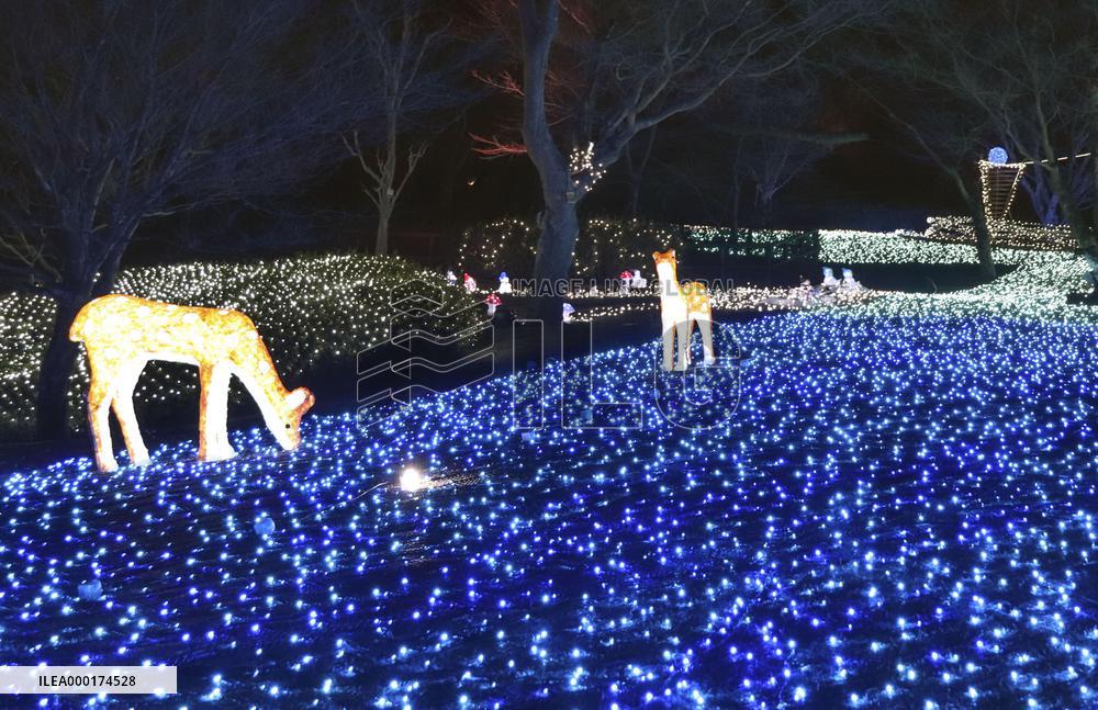 Nara Park illumination