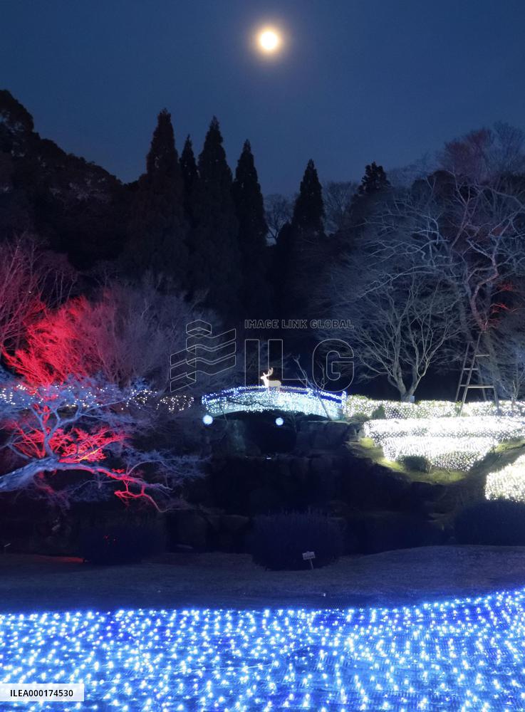 Nara Park illumination