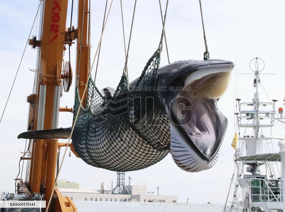 Commercial whaling in Japan