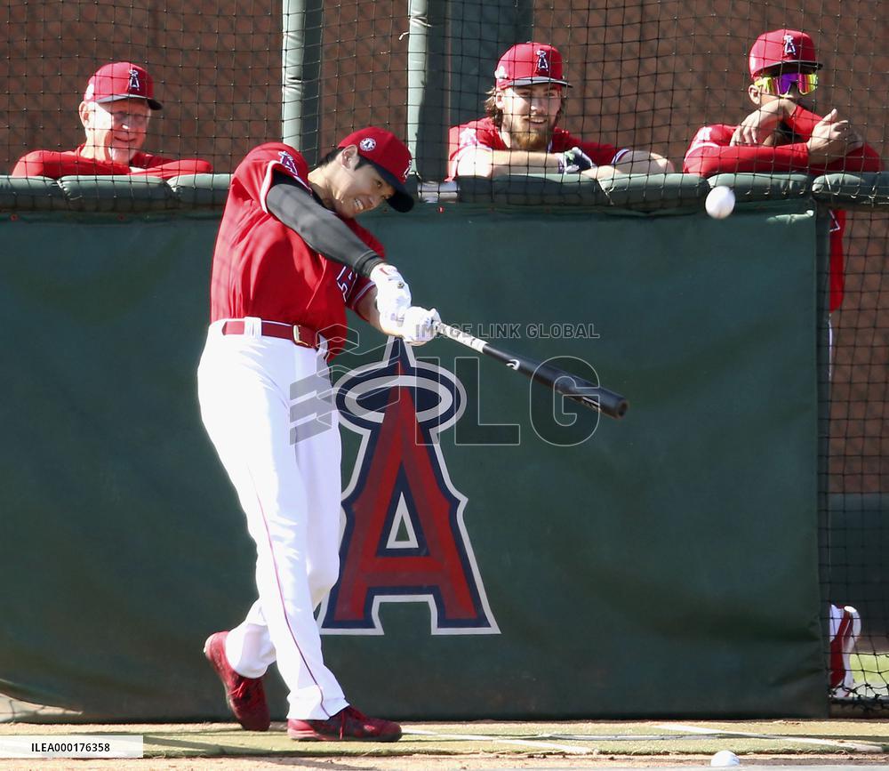 Baseball: MLB spring training