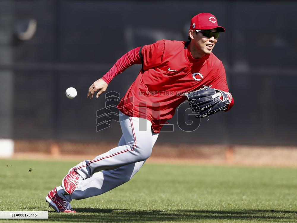 Baseball: MLB spring training