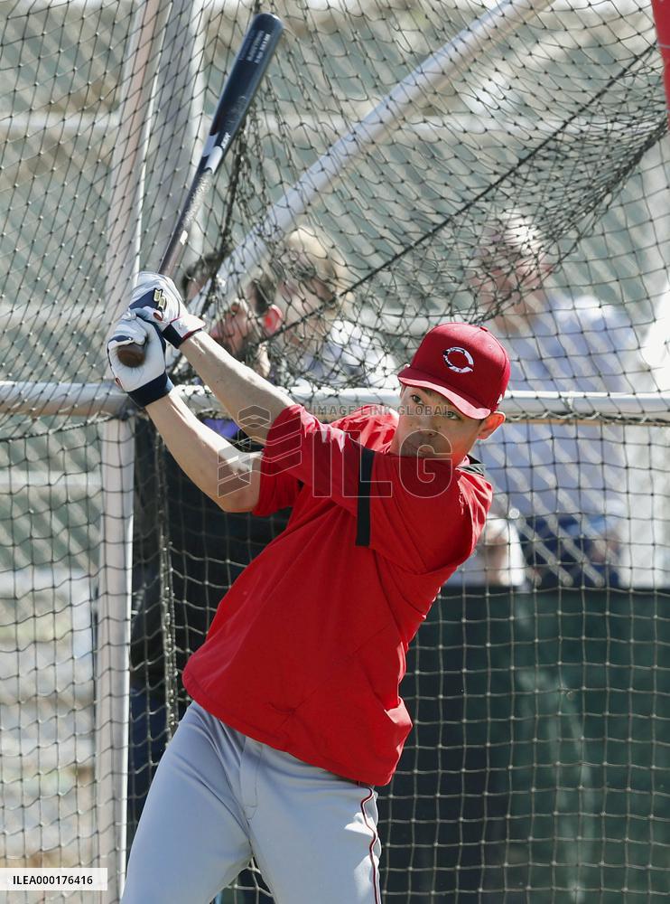 Baseball: MLB spring training