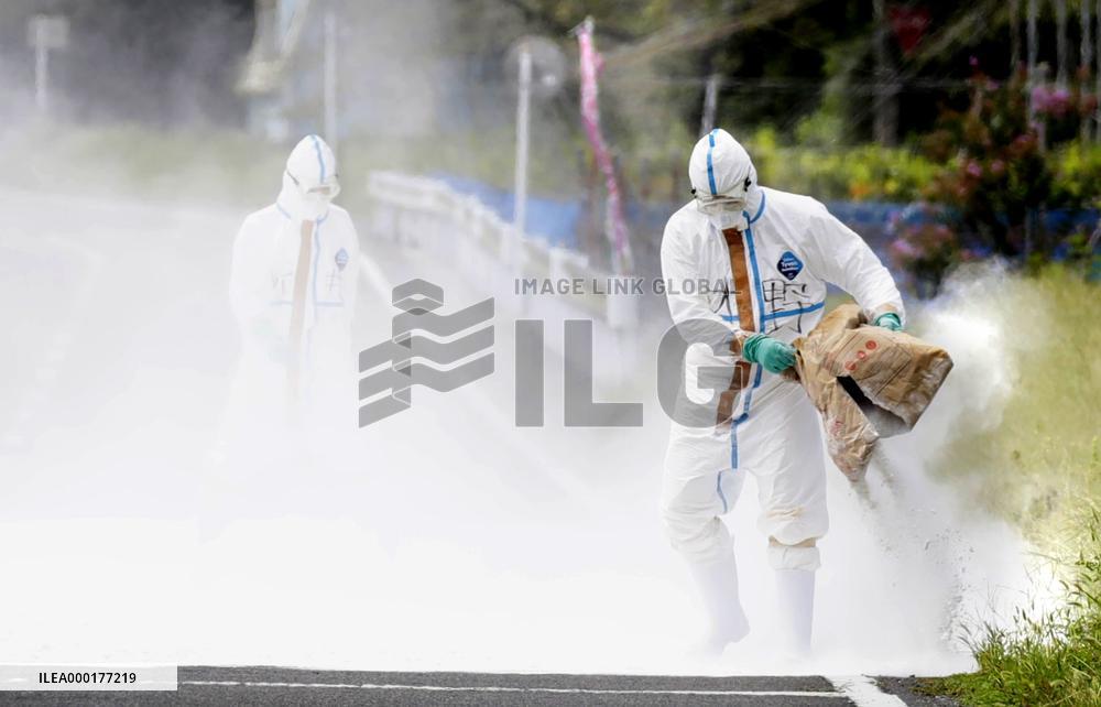Hog cholera infection in eastern Japan
