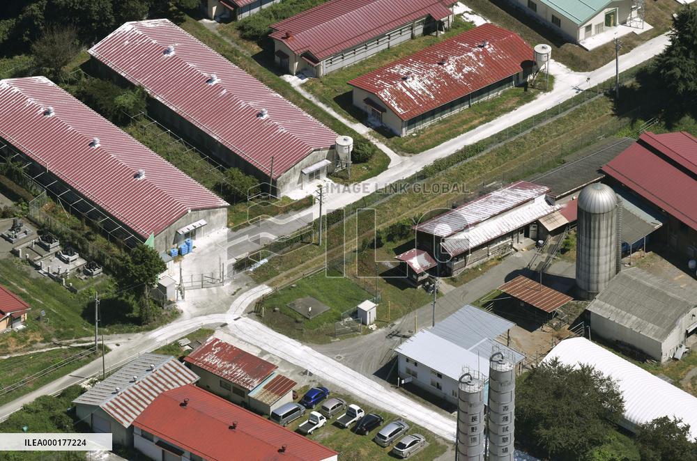 Hog cholera infection in central Japan