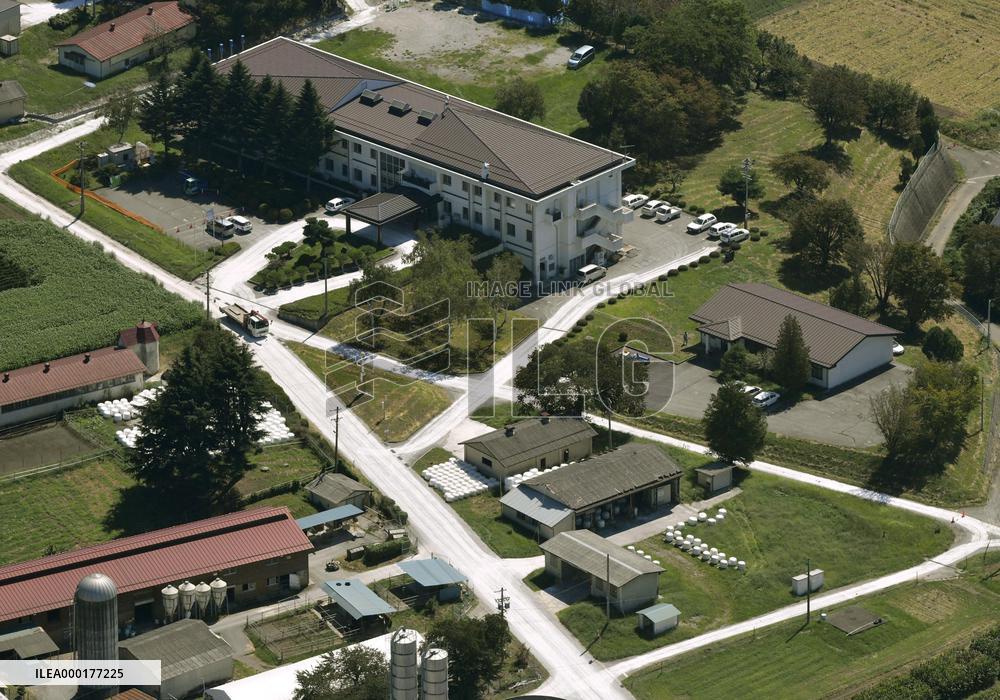 Hog cholera infection in central Japan