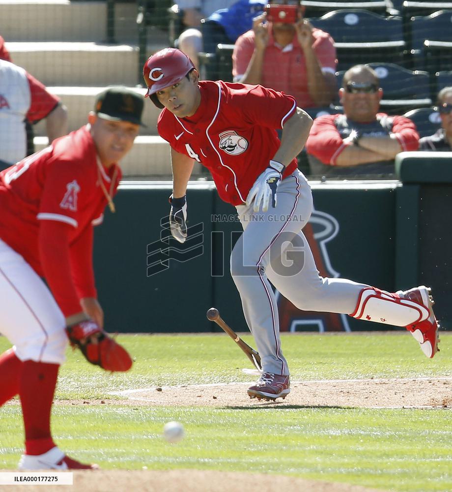 Baseball: Angels v Reds