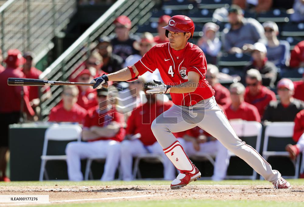 Baseball: Angels v Reds