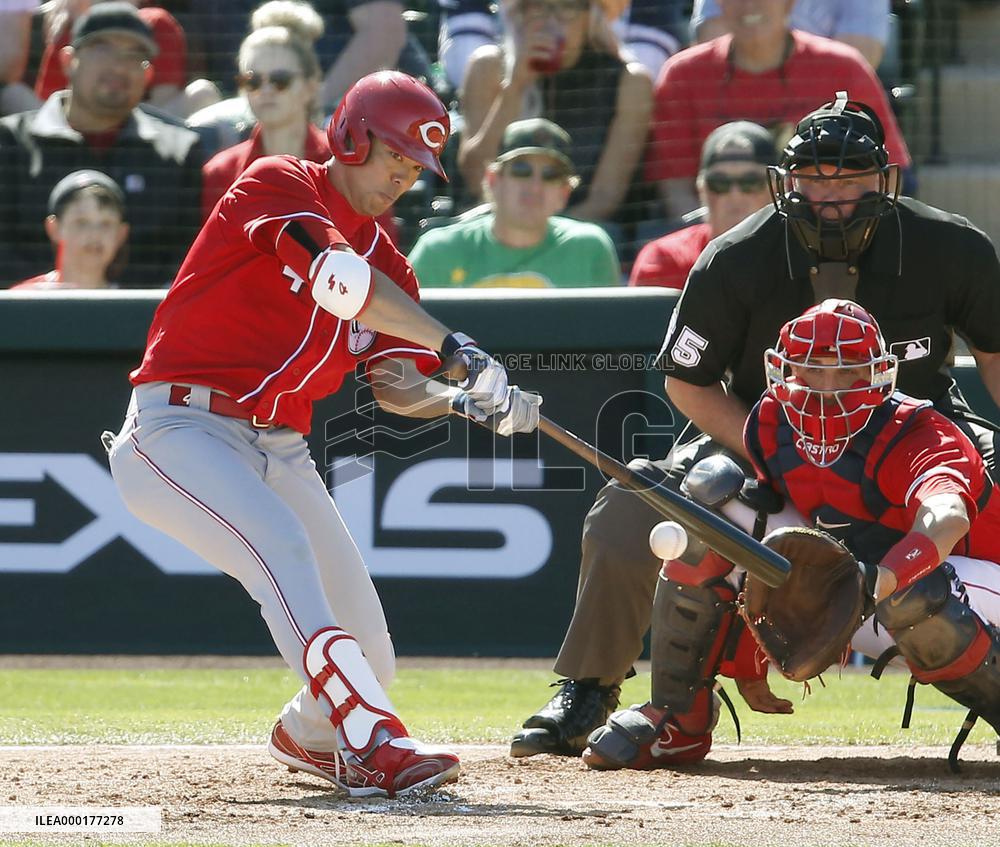 Baseball: Angels v Reds
