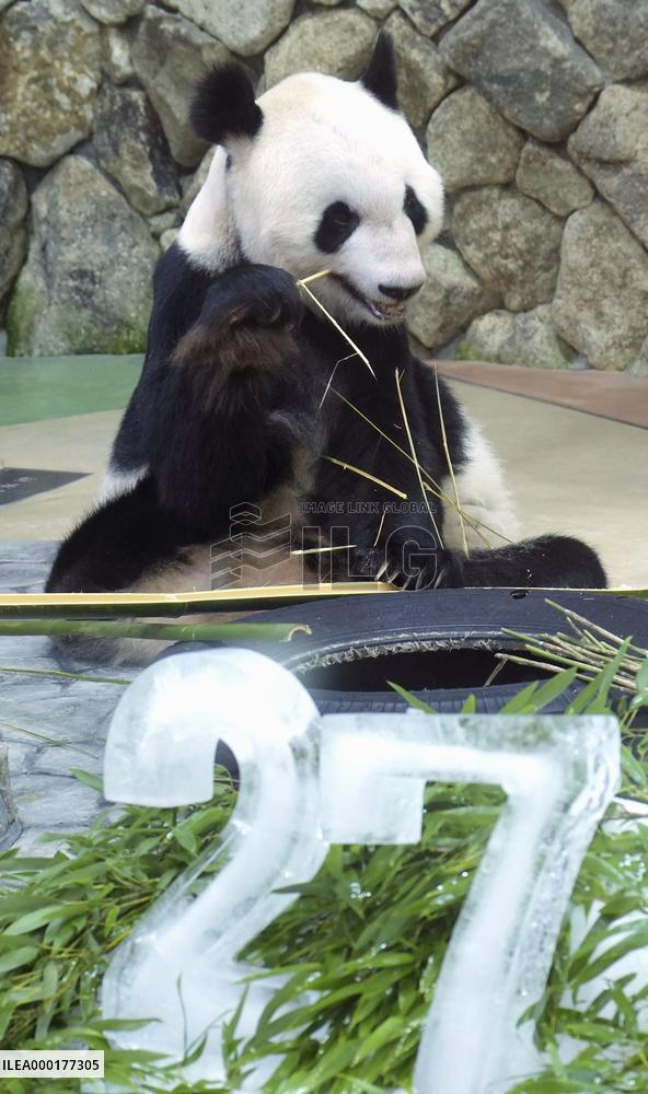 Panda turns 27 at Wakayama zoo