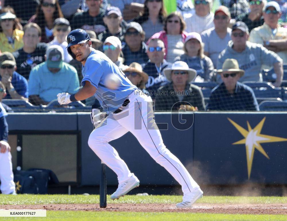 Baseball: MLB spring training
