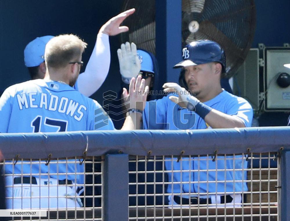 Baseball: MLB spring training