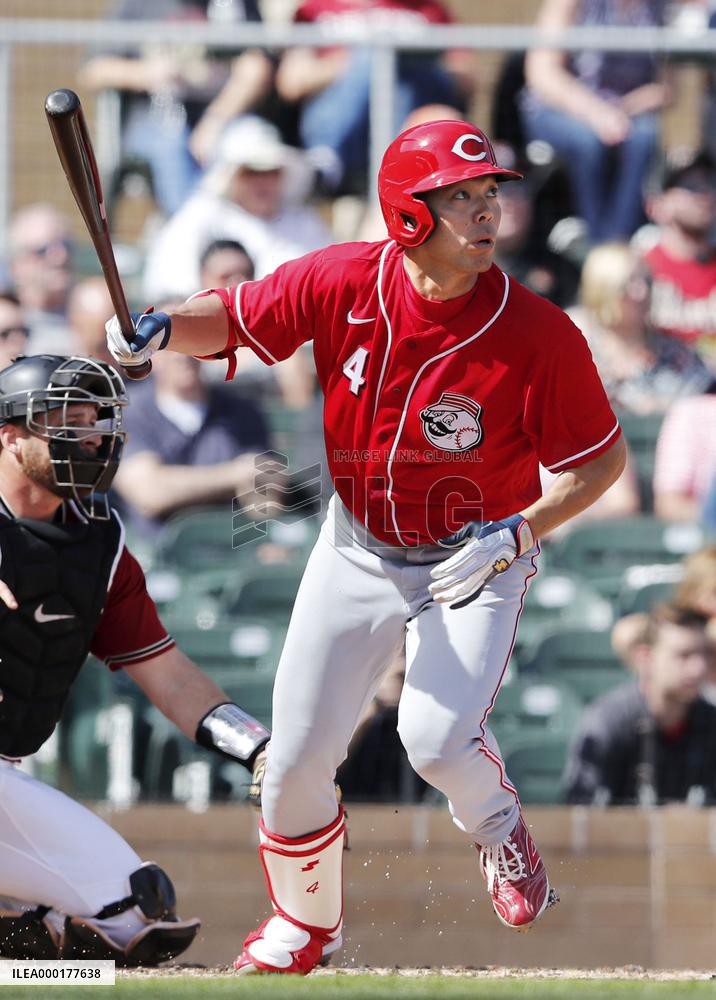 Baseball: MLB spring training