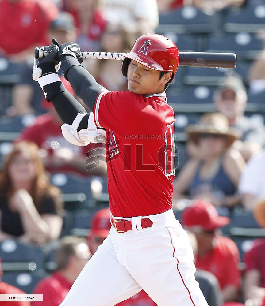 Baseball: MLB spring training