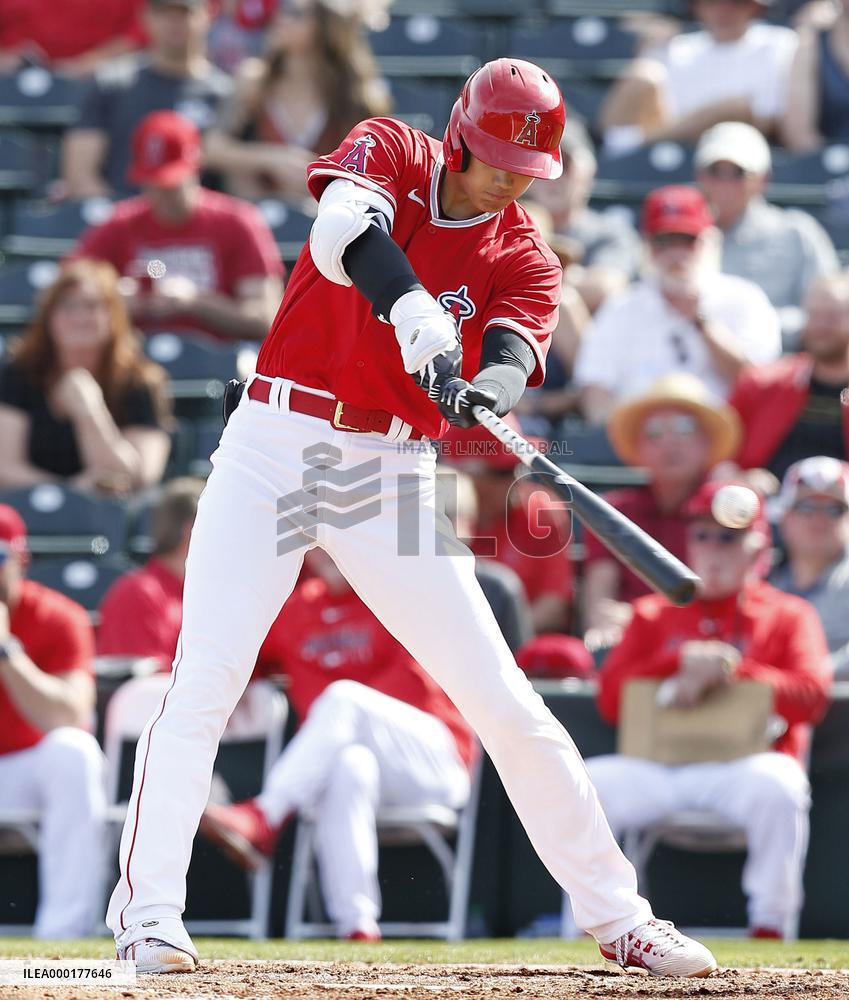 Baseball: MLB spring training