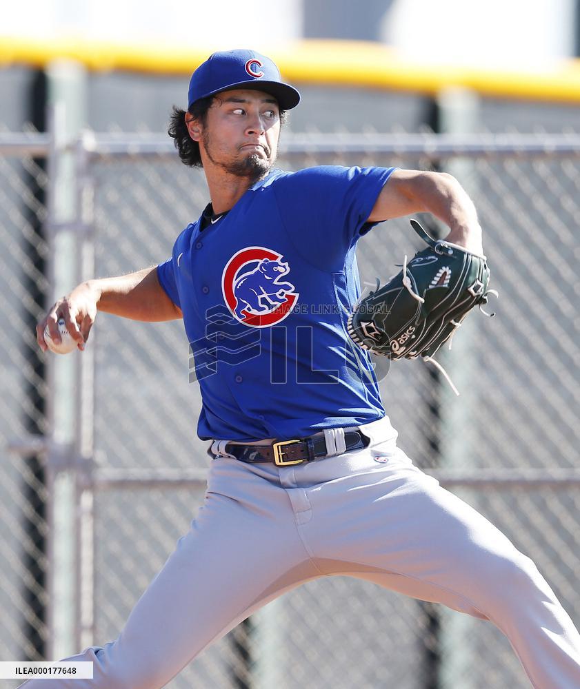 Baseball: MLB spring training