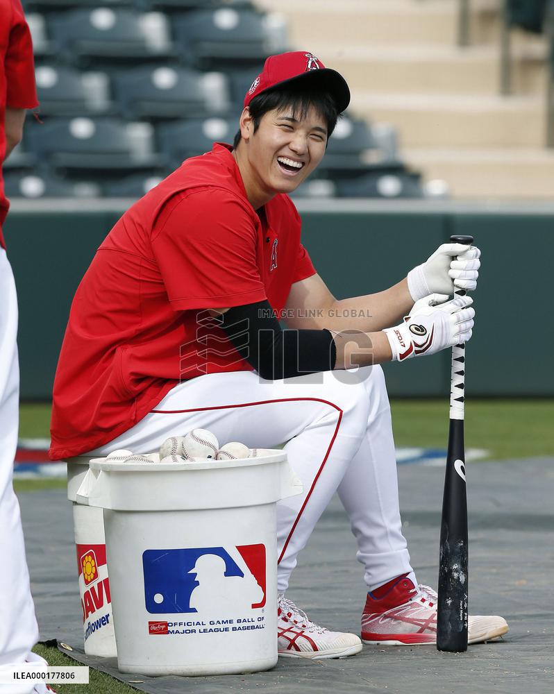 Baseball: MLB spring training