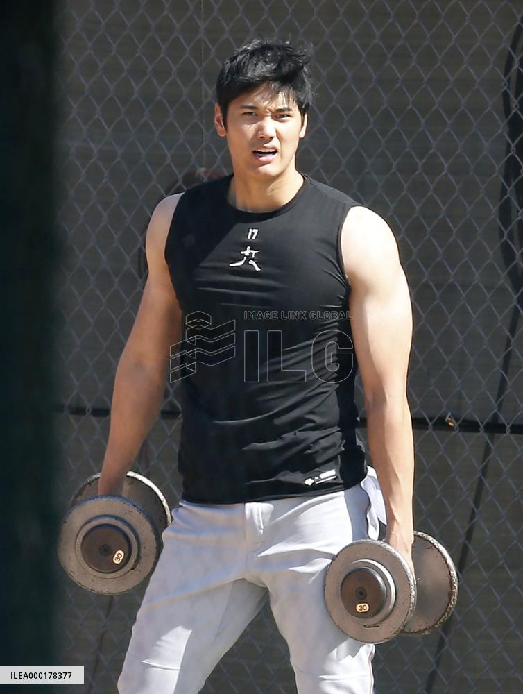 Baseball: MLB spring training