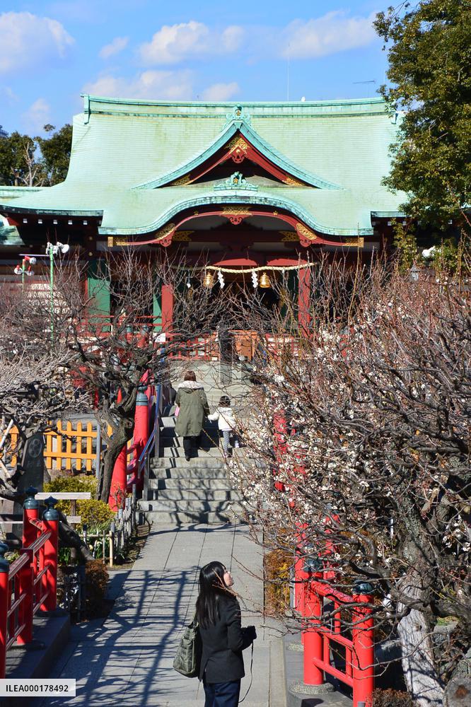 Kameido Tenjin shrine in Tokyo