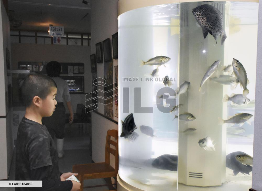 Smallest aquarium in Japan