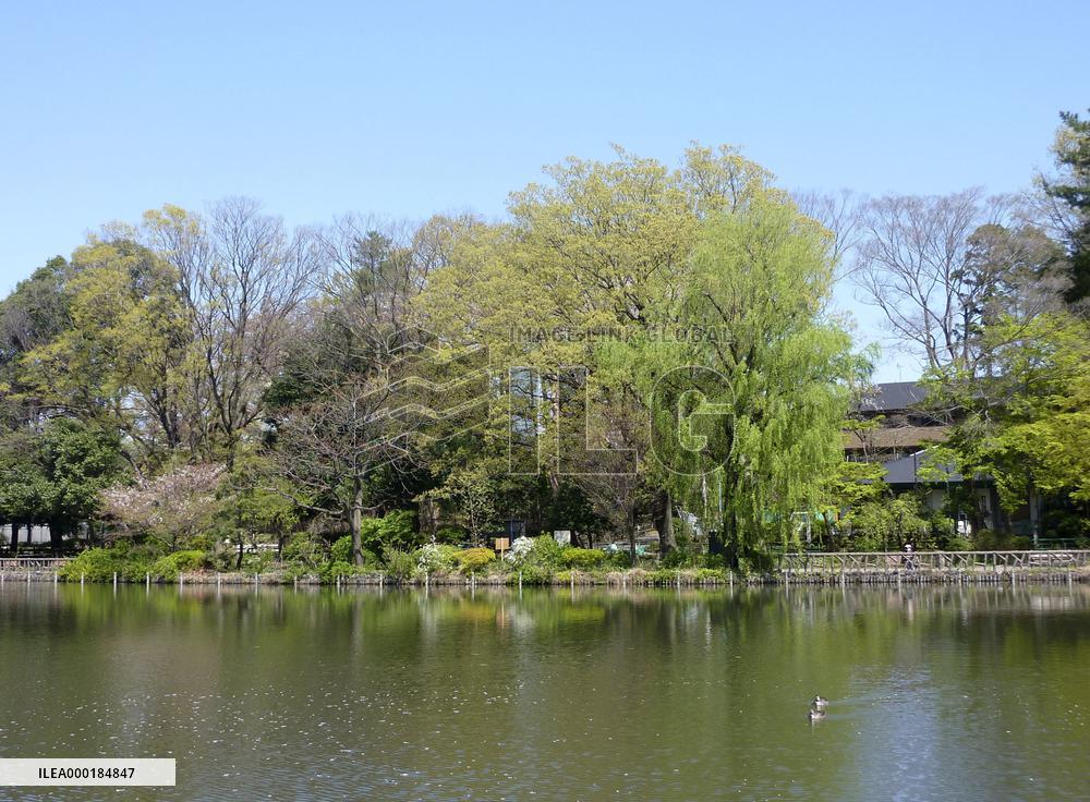 Scenes in Tokyo