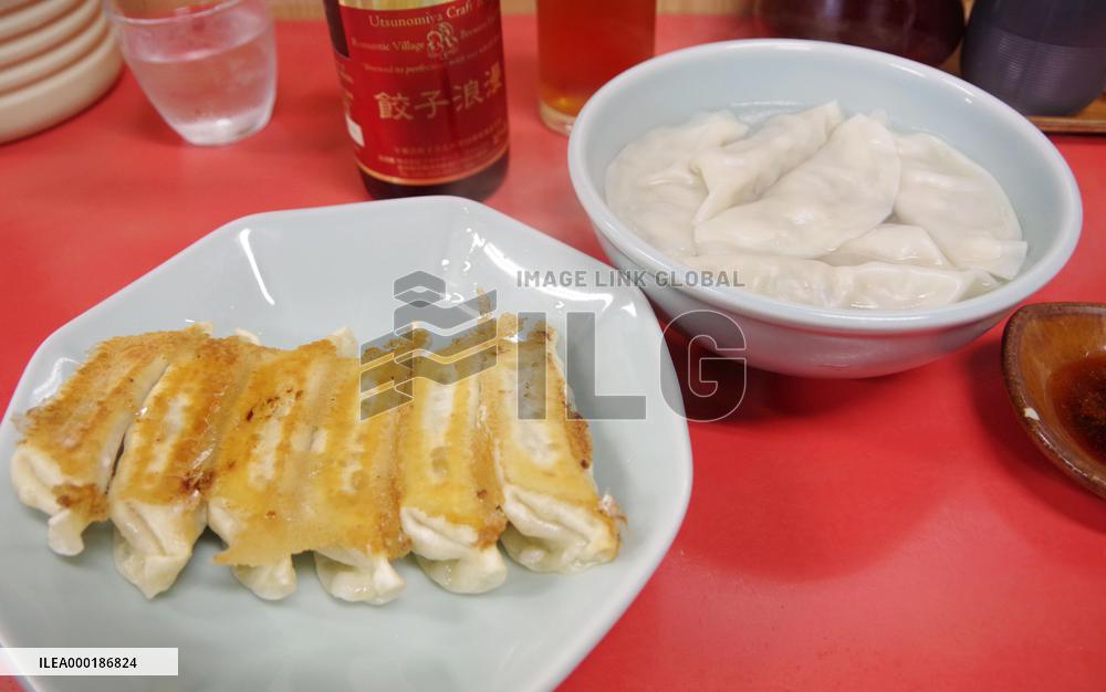 "Gyoza" dumplings